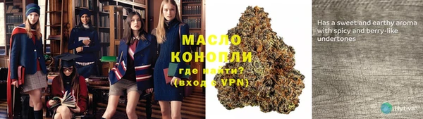 СК Вяземский