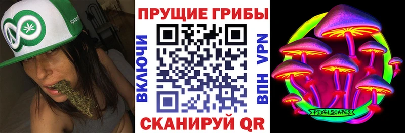 Галлюциногенные грибы прущие грибы  Пикалёво 